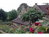 Mount Roses